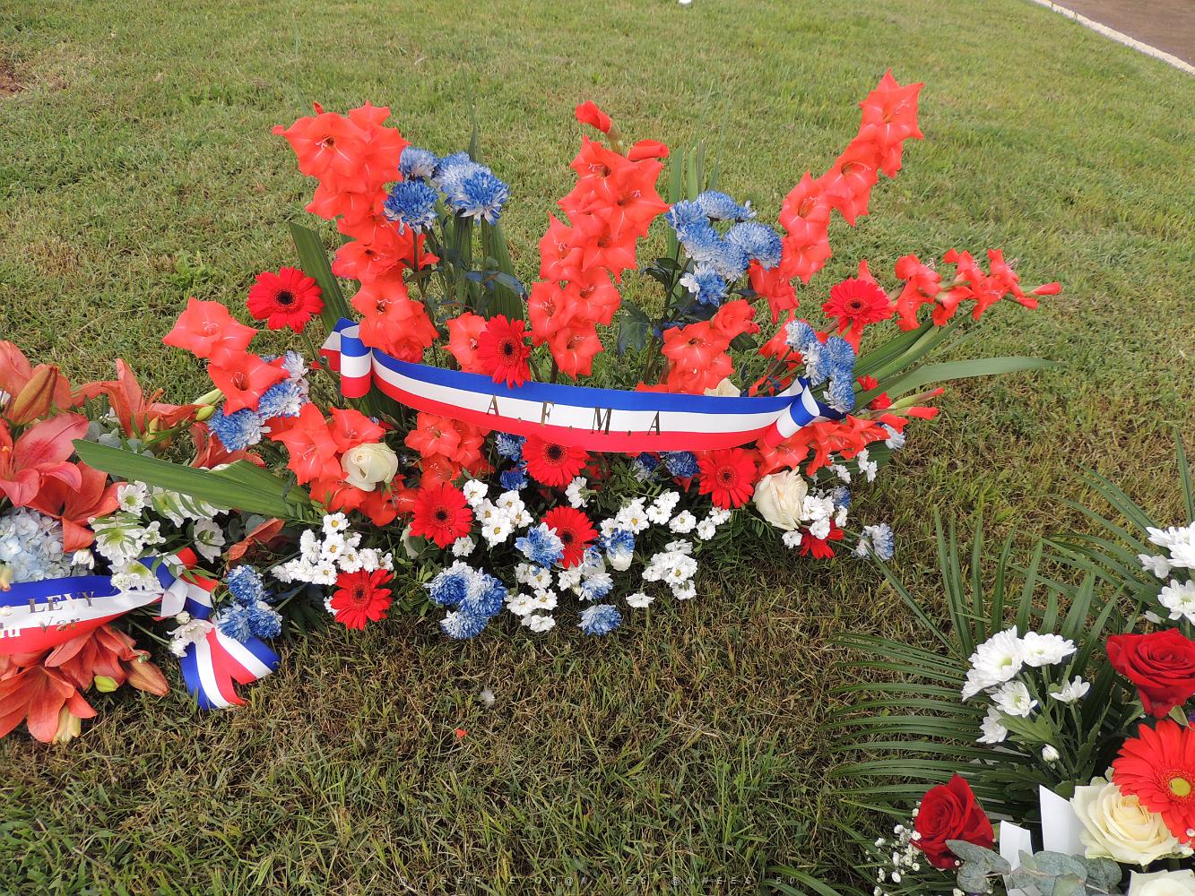 2020 09 25 TOULON JOURNEE NATIONALE D HOMMAGE AUX HARKIS (13).JPG -           